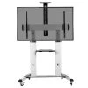 TV Cart For 32" To 100" Screens